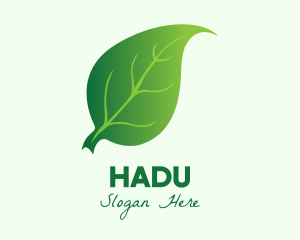 Environment - Green Herbal Leaf logo design