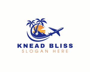 Tropical Airplane Tour logo design