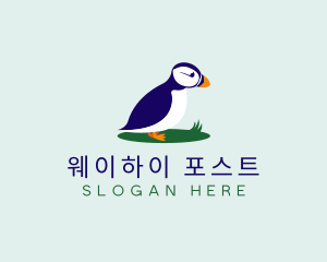 Avian Puffins Bird logo design