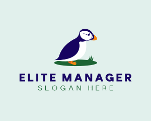 Avian Puffins Bird logo design