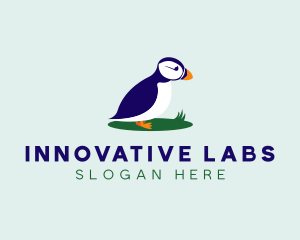 Avian Puffins Bird logo design