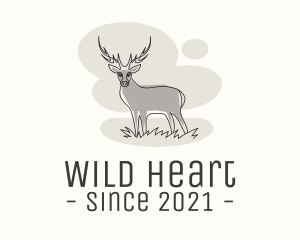 Gray Wild Deer logo design