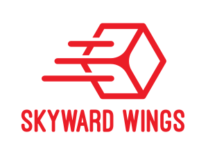 Flying - Flying Cube Outline logo design