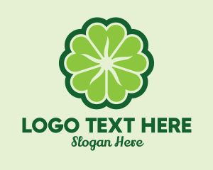 Eco Park - Shamrock Flower Pattern logo design