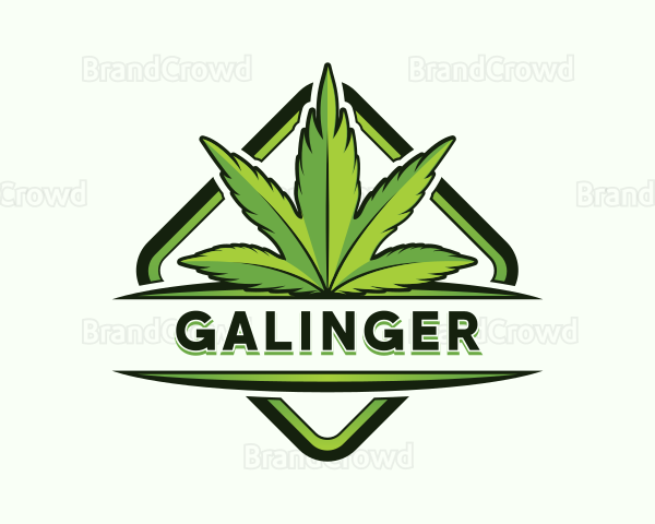 Organic Cannabis Leaf Logo