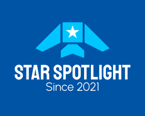 Star Airplane Aviation  logo design