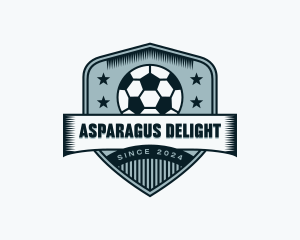 Soccer Sports League logo design