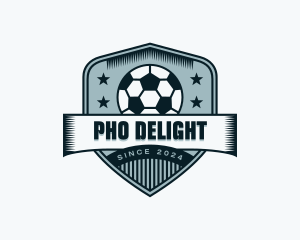 Soccer Sports League logo design