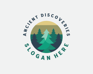 Pine Tree Forest logo design