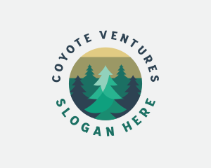 Pine Tree Forest logo design