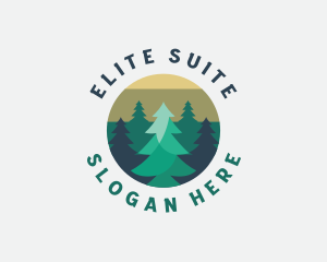 Pine Tree Forest logo design