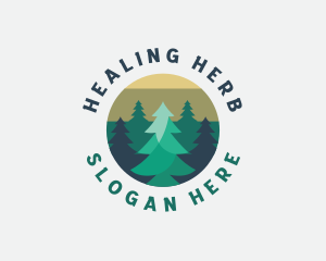 Pine Tree Forest logo design