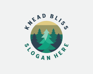 Pine Tree Forest logo design