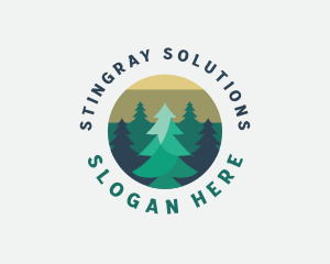 Pine Tree Forest logo design