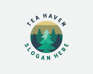 Pine Tree Forest logo design