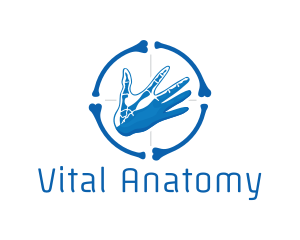 Anatomy - Blue Hand Bone Target logo design