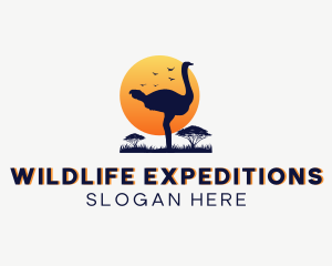 Safari - Wild Safari Ostrich logo design