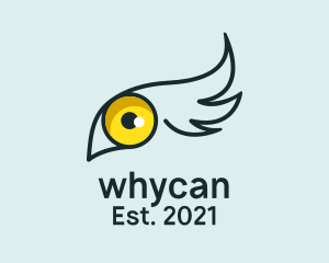 Contact Lens - Eagle Eye Vision logo design