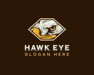 Bird Eagle Eye logo design