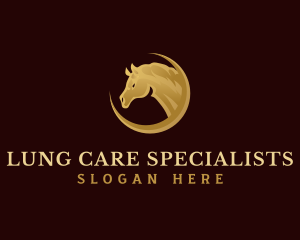 Premium Horse Equine logo design