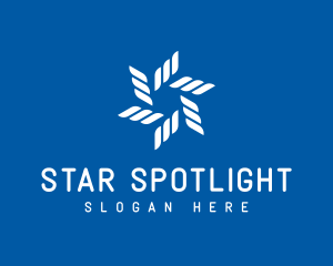 Winter Star Snowflake logo design