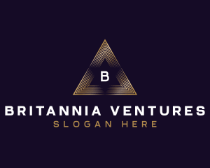 Triangle Finance Consultant logo design