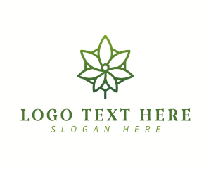 Natural Therapy - Organic Weed Leaf logo design