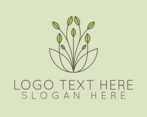 Aesthetic Leaves Plant  Logo