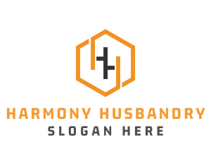 Hexagonal Letter HH logo design