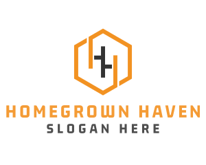 Hexagonal Letter HH logo design