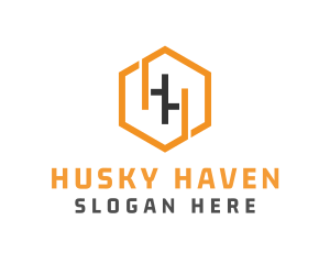 Hexagonal Letter HH logo design