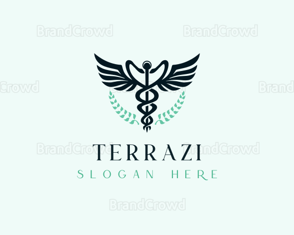 Hospital Medical Caduceus Logo