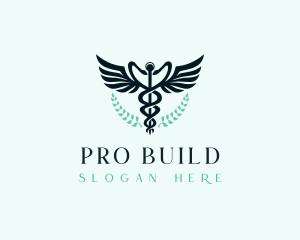 Hospital Medical Caduceus Logo