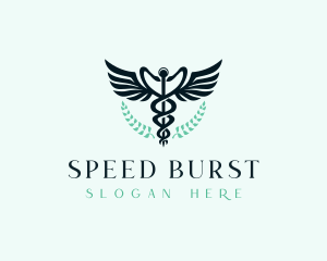 Hospital Medical Caduceus Logo