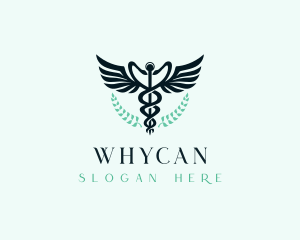 Hospital Medical Caduceus Logo