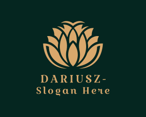 Deluxe Floral Spa  Logo