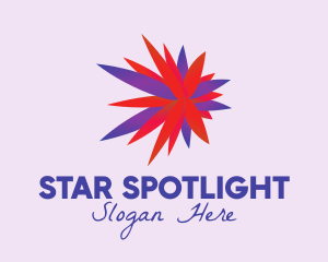 Star Flower Burst logo design