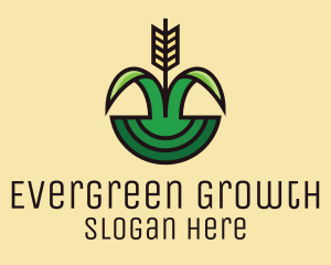 Organic Rice Field  logo design