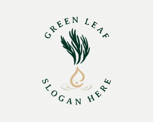 Organic Herbal Oil logo design