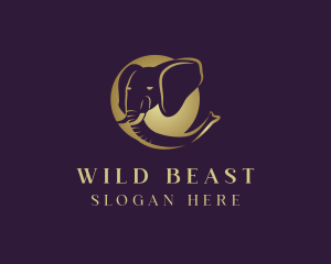 Safari Wild Elephant Head logo design