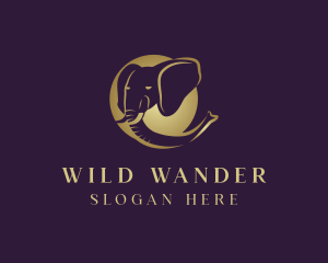 Safari Wild Elephant Head logo design