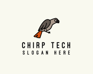 Chirp - Congo Parrot Pet logo design