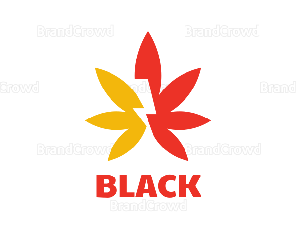 Thunder Cannabis Leaf Logo