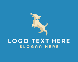 Animal Dog Trainer logo design