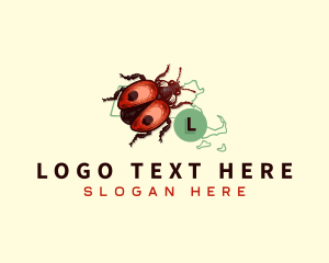 Beetle - Ladybug Beetle Massachusetts logo design