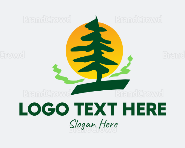 Pine Tree Forest Logo