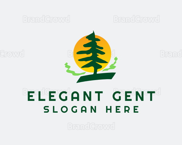 Pine Tree Forest Logo