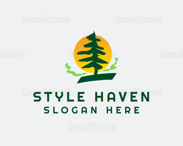 Pine Tree Forest Logo