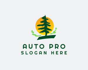 Pine Tree Forest Logo
