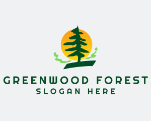 Pine Tree Forest logo design